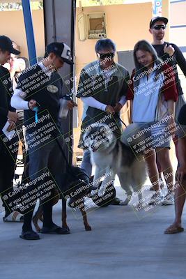 media/May-28-2023-Lets Ride (Sun) [[7acf226b67]]/Around the Pits/